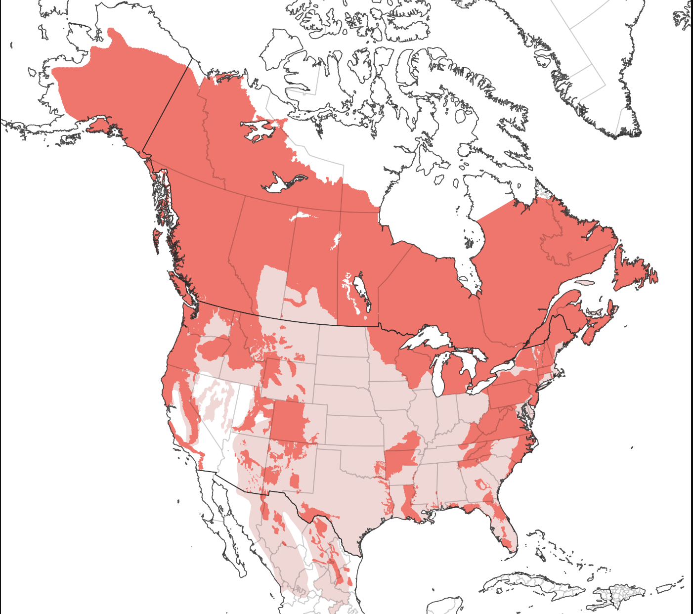 Wikipedia / Black bear (Ursus americanus) range, extant in red, extirpated in pink / IUCN Red List